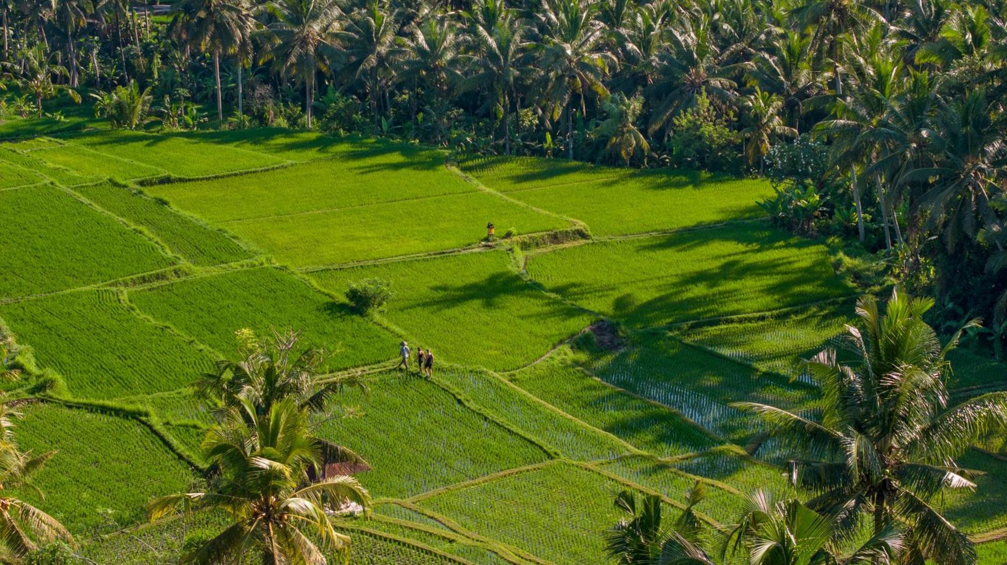Lasamana Villas Ubud By Pramana Villas Экстерьер фото